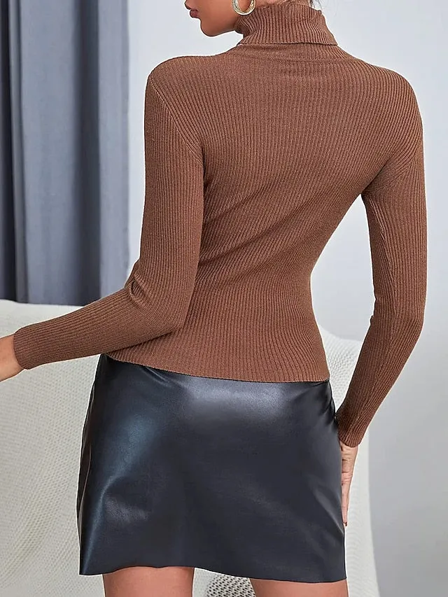 3 pieces Women's Pullover Sweater Jumper Ribbed Knit Knitted Thin Solid Color Turtleneck Basic Casual Daily Winter Fall Black White Gray Brown